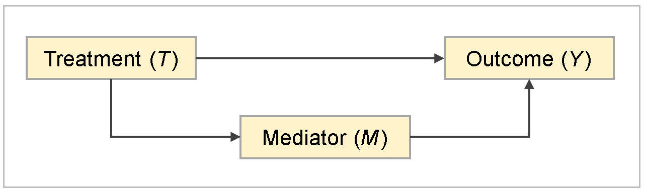 A Causal Mediation Model