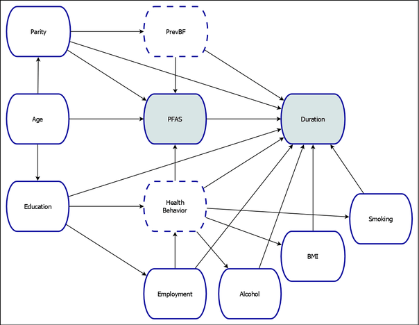Causal Model of the Effect of Persistent Perfluoroalkyl Substances on Breastfeeding Duration