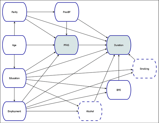 Causal Model of the Effect of Persistent Perfluoroalkyl Substances on Breastfeeding Duration